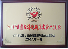 2007 Outstanding Business of Gansu economic innovation 50